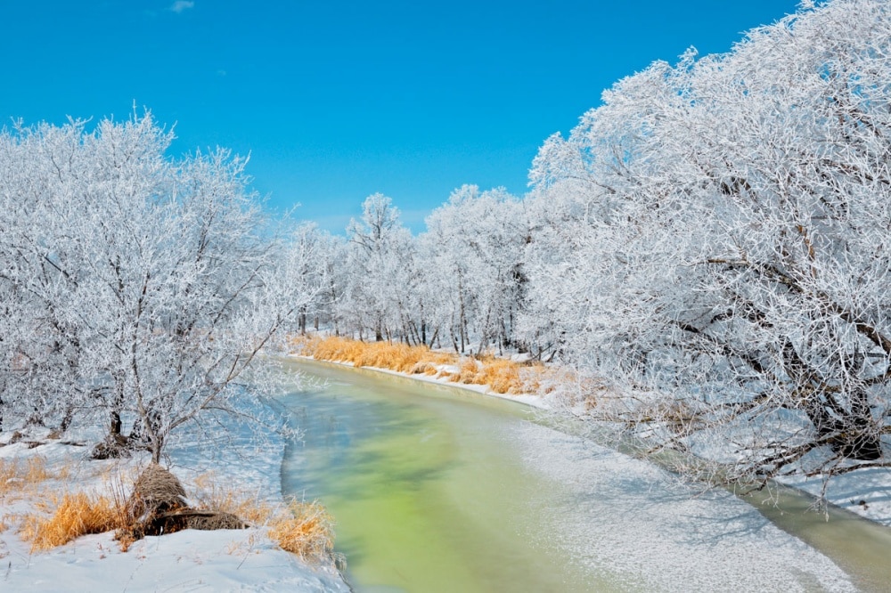 Top 50 hình ảnh phong cảnh mùa đông làm hình nền đẹp - Chia sẻ kiến thức mỗi ngày