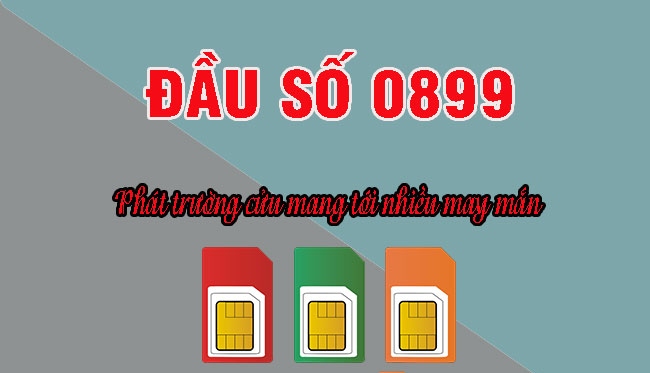 Vì sao bạn nên sở hữu SIM đầu số 0899? viettelinternet24h.com