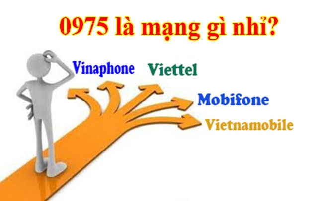 0975 là mạng gì? Bật mí những ý nghĩa đặc biệt của SIM đầu số 0975 - viettelinternet24h.com
