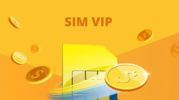 SIM đầu số 0368 phù hợp với những đối tượng nào? - viettelinternet24h.com