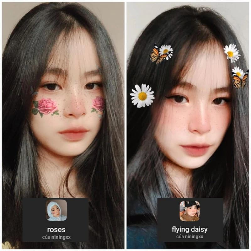 filter instagram cute - filter instagram hoa hồng - hoa cúc