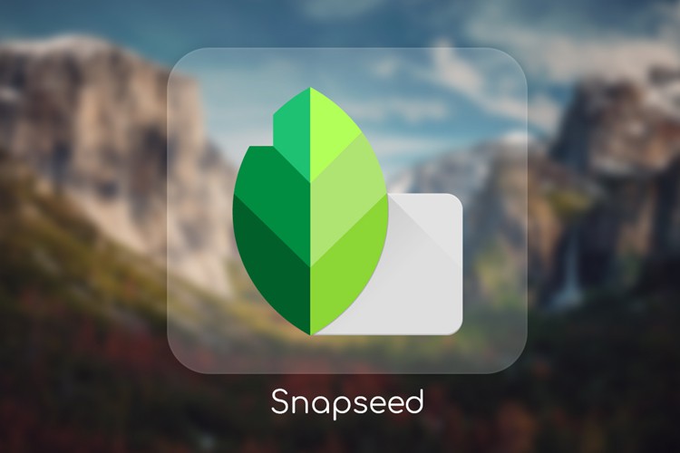Snapseed là gì? Hướng dẫn sử dụng Snapseed đầy đủ và chi tiết - Fptshop.com.vn